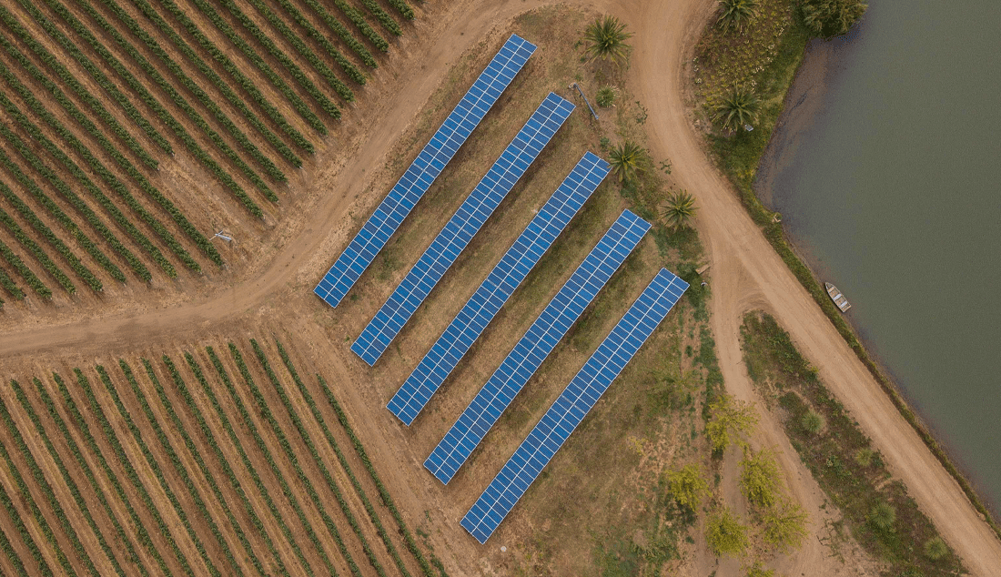 Vina Aresti Vina Aresti