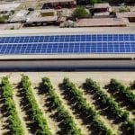 agricola el arenal solcor 2