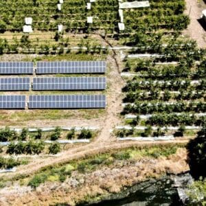 agricola montefrutal 2 solcor 1