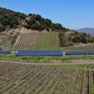 agroplan solcor 1