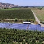 fruticola comalle solcor 1