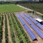 fruticola comalle solcor 2