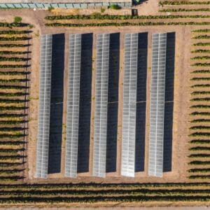 vina viu manent 4 solcor 1