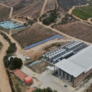 Proyectos3 3