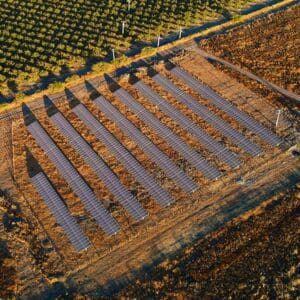 Verfrut Molina Paneles Fotovoltaicos Solcor