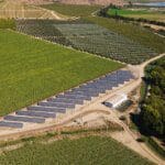 Verfrut el durazno Paneles fotovoltaicos solcor 3
