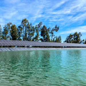 Agricola Miralles Don Alfonso 1