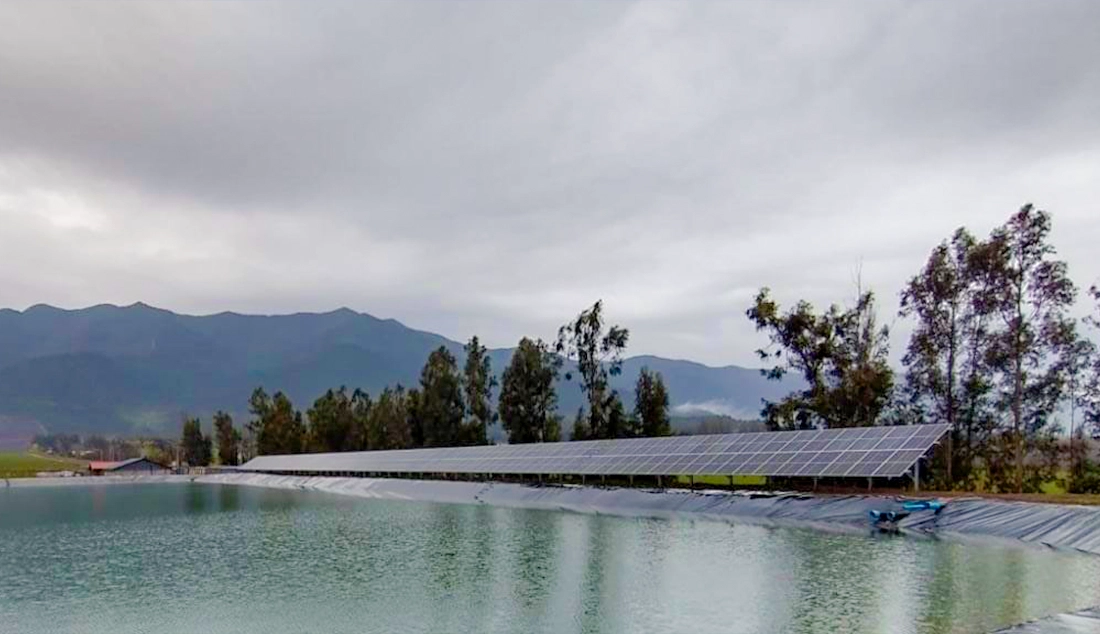 Agricola Miralles Don Alfonso 2 Agricola Miralles Don Alfonso 2