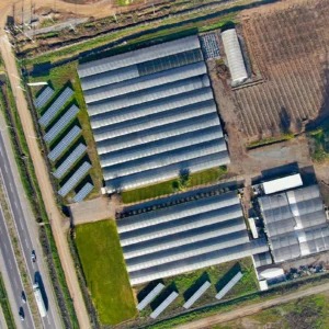 Vivero Sur