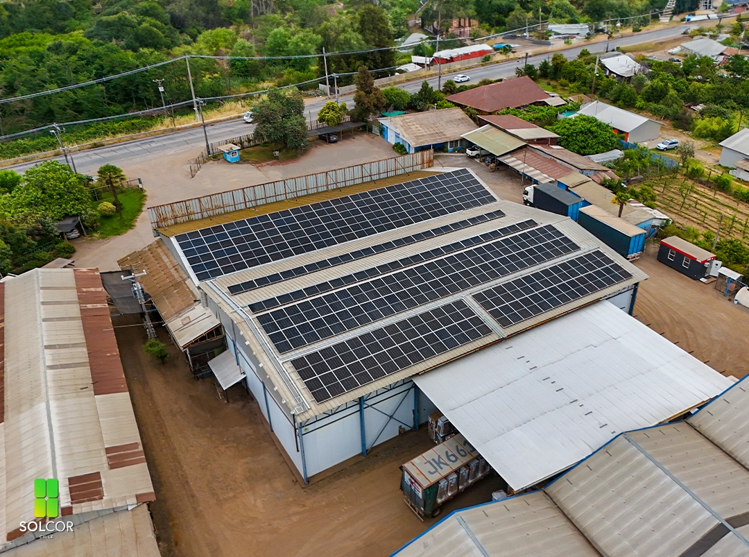 Vicente Hermanos Vicente Hermanos