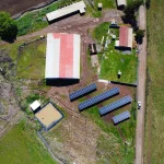 Proyecto Los Choznos 2