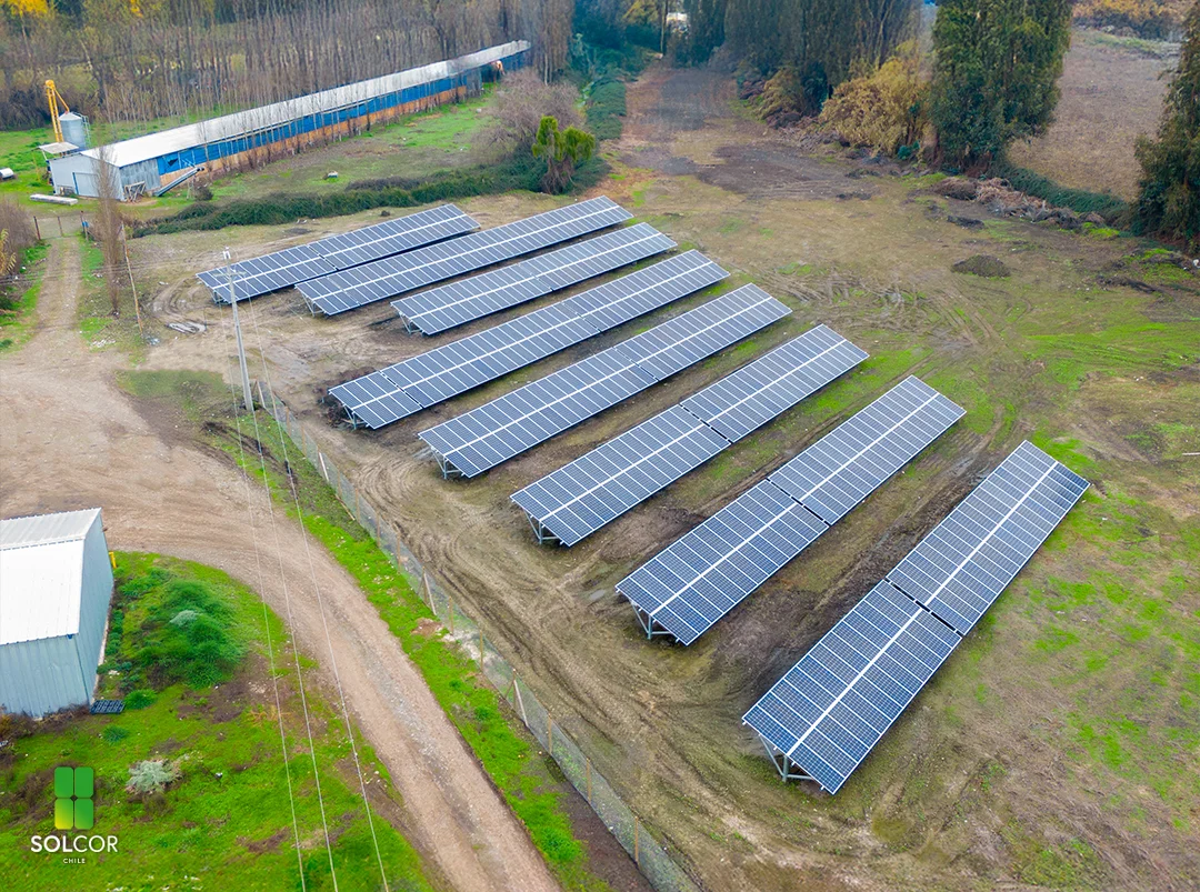 Avícola ST 1 Avícola ST 1