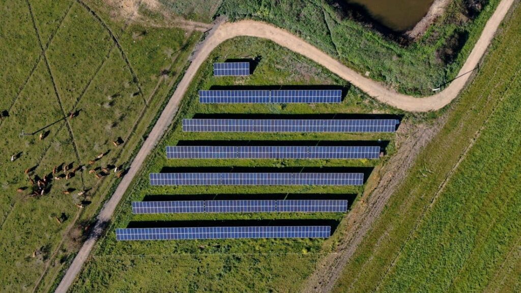 agricola el olivar solcor 1