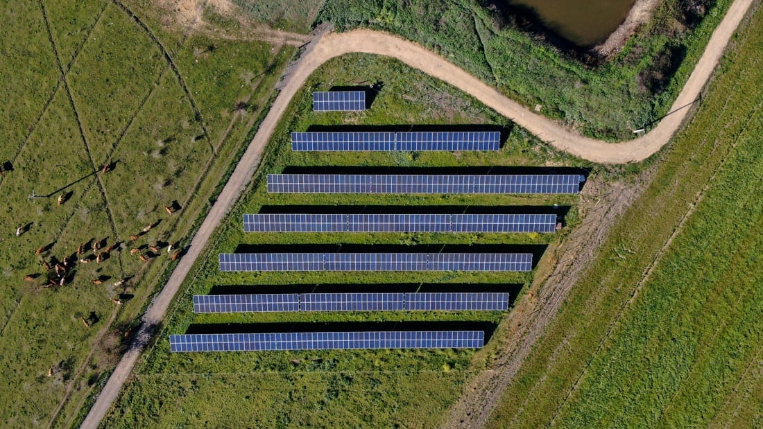 agricola el olivar solcor 1